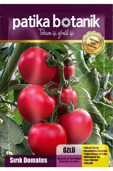 10 Adet Özlü Domates Tohumu - Resim 2