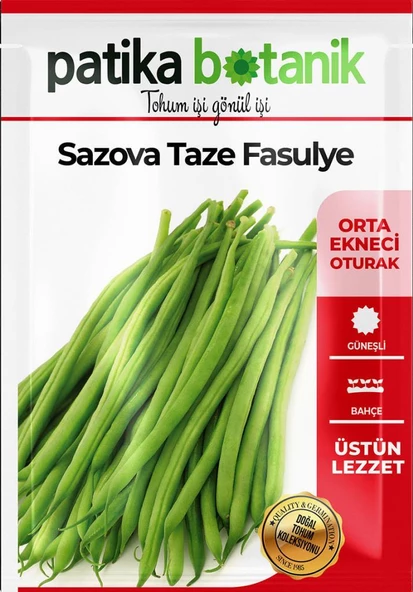 50 Adet Sazova Fasulye Tohumu - Resim 2