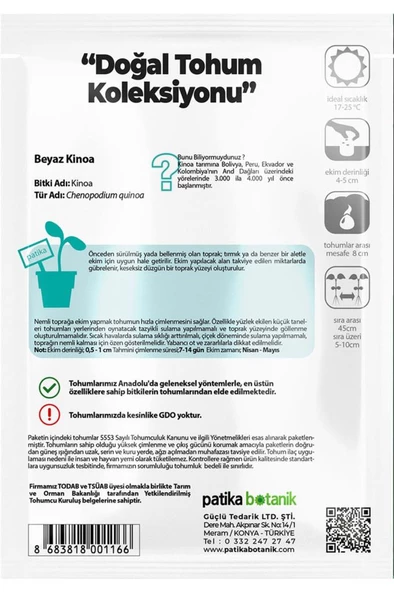 100 Adet Beyaz Kinoa Tohumu - Resim 3