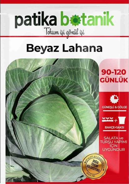 200 Adet Yerli Ata Beyaz Lahana Tohumu - 2
