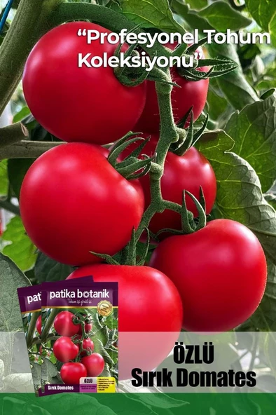 10 Adet Özlü Domates Tohumu ürün görseli