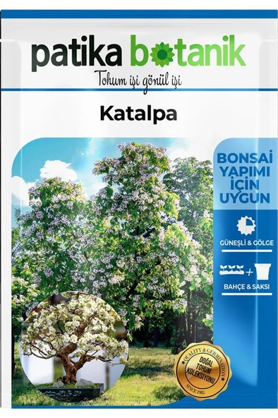 10 Adet Katalpa Tohumu - Resim 2
