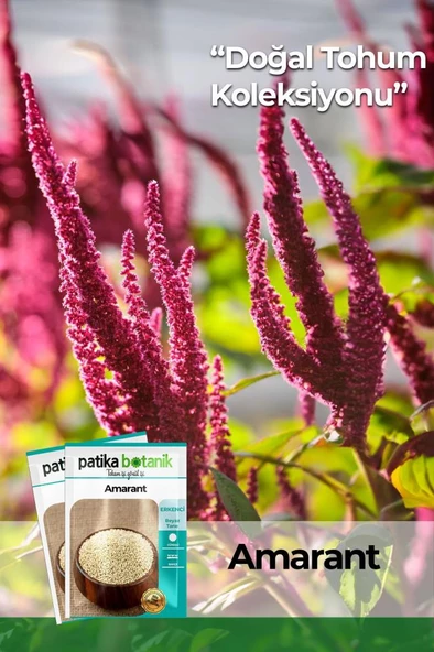 100 Adet Amarant Tohumu ürün görseli