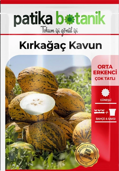 100 Adet Kırkağaç 589 Kavun Tohumu - 2