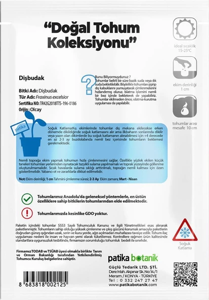 10 Adet Dişbudak Tohumu - Resim 3