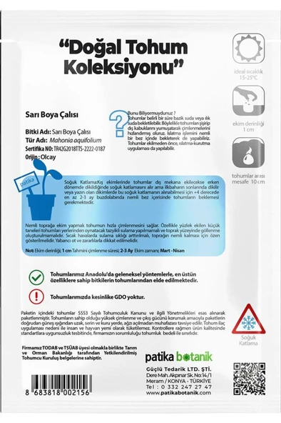 20 Adet Sarı Boya Çalısı Ağaç Tohumu - Resim 3