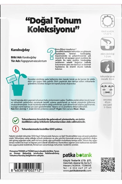 100 Adet Karabuğday Tohumu - 3