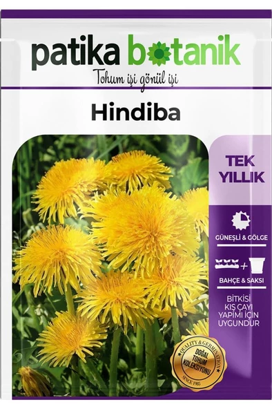 500 Adet Hindiba Tohumu - 2