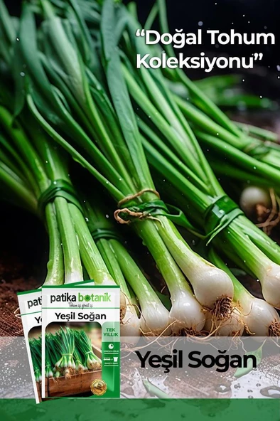 400 Adet Ata Tohumu Yerli Yeşil Soğan ürün görseli