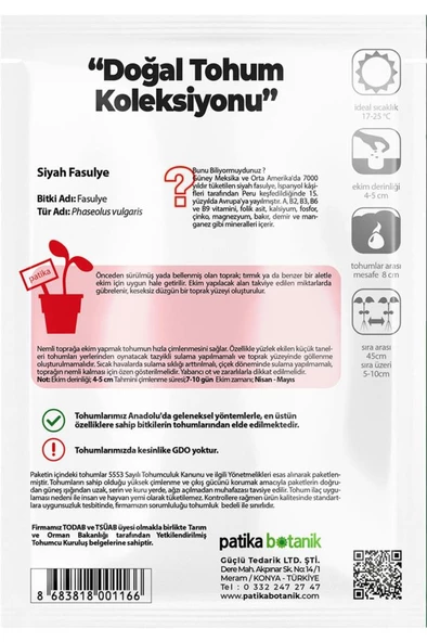 50 Adet Siyah Fasulye Tohumu - Resim 3