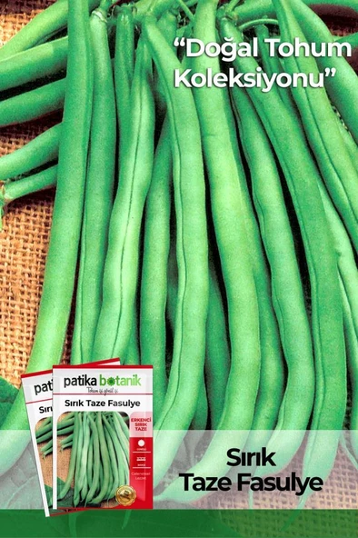 40 Adet Yerli Ata Sırık Fasulye Tohumu (Mine) ürün görseli