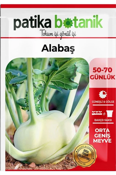 200 Adet Alabaş Tohumu - Resim 2