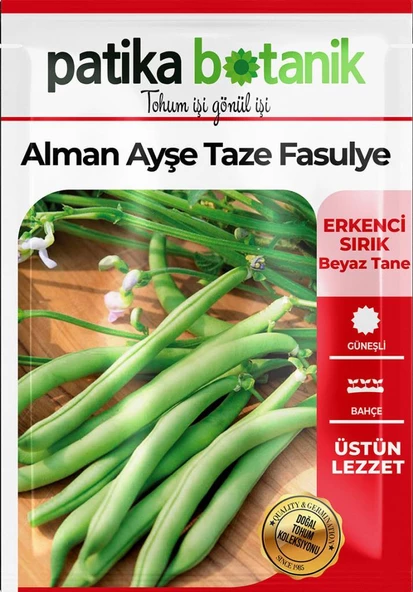 50 Adet Alman Ayşe Tipi Sırık Fasulye Tohumu - 2
