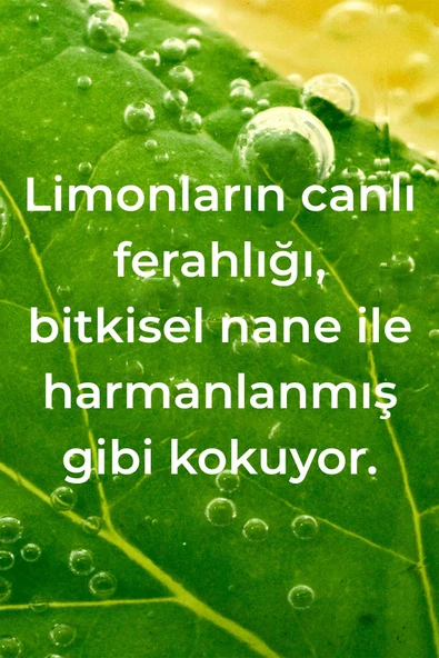 Method Lemon Mint Elde Bulaşık Deterjanı 532ML - 3