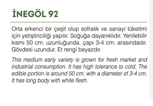 YERLİ DOĞAL PIRASA İNEGÖL 200 ADET TOHUM - 2