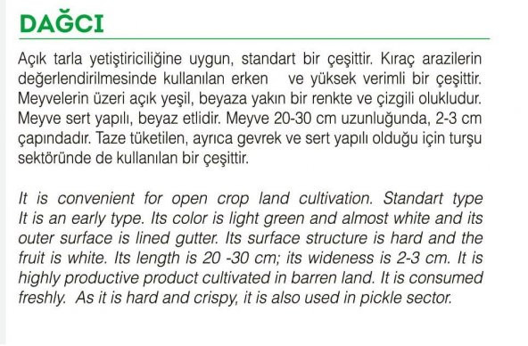 ATA TOHUMU YERLİ ACUR KÖY TİPİ 100 ADET TOHUM - Resim 2