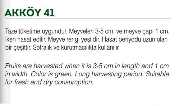 ATA TOHUMU YERLİ BAMYA 100 ADET TOHUM - Resim 2