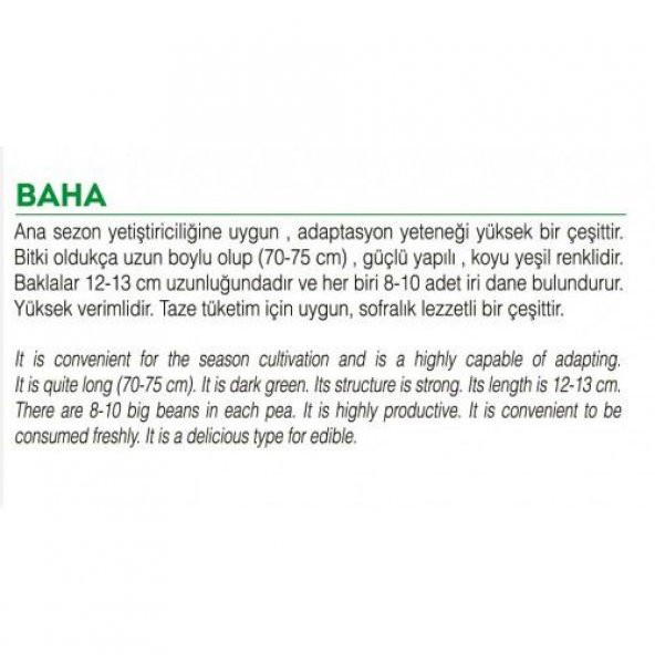 ATA TOHUMU YERLİ BEZELYE 50 ADET TOHUM - 2