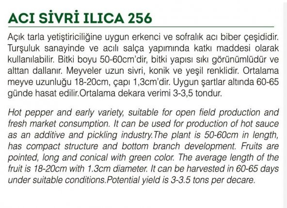 ATA TOHUMU YÖRESEL SİVRİ BİBER ACI ILICA 1000 ADET TOHUM - Resim 2