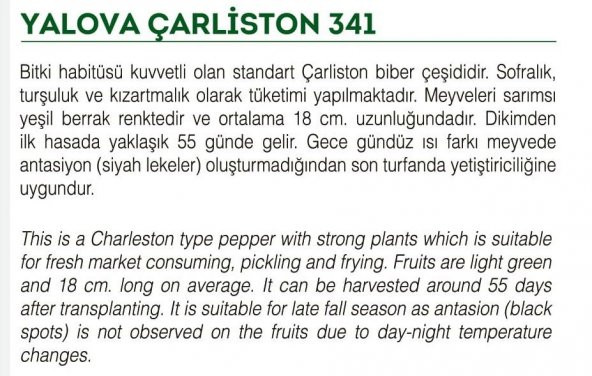 ATA TOHUMU SİVRİ BİBER YALOVA ÇARLİSTON 1000 ADET TOHUM - 2
