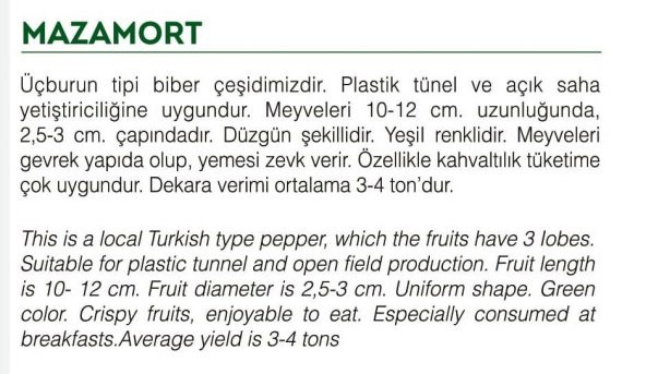 ATA TOHUMU YEŞİL BİBER MAZAMORT 1000 ADET TOHUM - 2