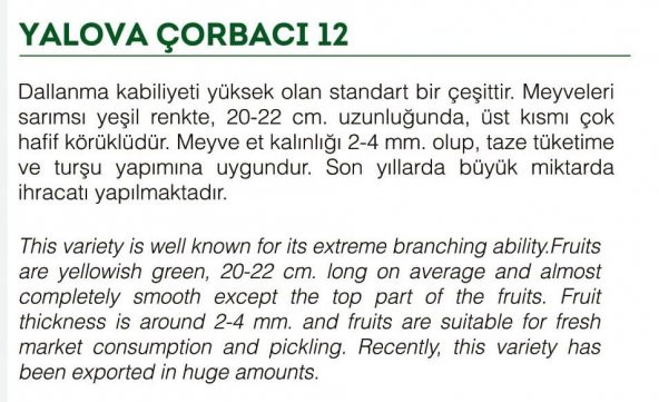 ATA TOHUMU SİVRİ BİBER YALOVA ÇORBACI 1000 ADET TOHUM - Resim 2