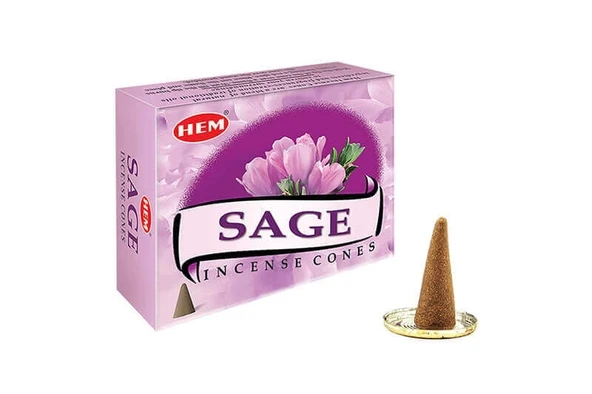 Sage Cones - 3