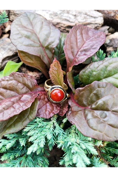 Doğal Taş Yuvarlak Akik Doğal Taşlı Ayarlanabilir Orta Boy Yüzük euy7a - Resim 2