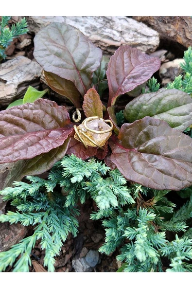 Doğal Taş Sitrin Dev Boy Doğal Taşlı Ayarlanabilir Yüzük euy10s - Resim 2