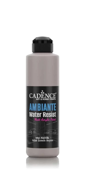 AMBIENTE SUYA DAY. AKR. BOYA AW-19 VİZON GRİ 250ML + KATALİZÖR 10GR ürün görseli 1