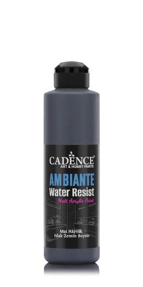 AMBIENTE SUYA DAY. AKR. BOYA AW-23 ANTRASİT SİYAH 250ML + KATALİZÖR 10GR ürün görseli 1