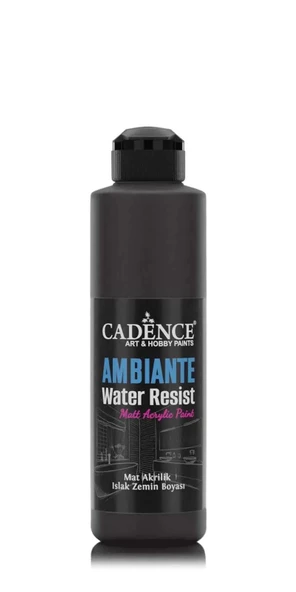 AMBIENTE SUYA DAY. AKR. BOYA AW-24 SİYAH 250ML + KATALİZÖR 10GR ürün görseli 1