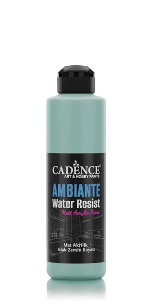 AMBIENTE SUYA DAY. AKR. BOYA AW-12 KÜF YEŞİLİ 250ML + KATALİZÖR 10GR ürün görseli 1