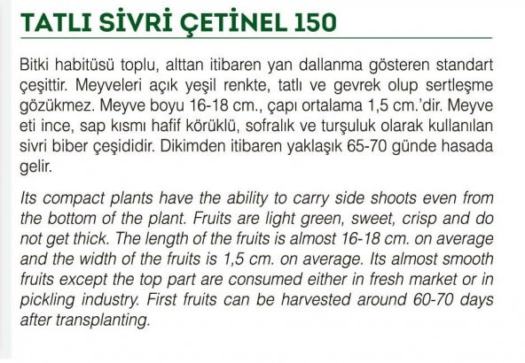 ATA TOHUMU TATLI SİVRİ ÇETİNEL BİBER 1000 ADET TOHUM - 2