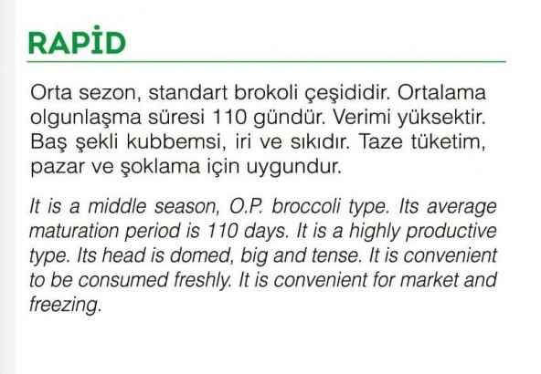 DOĞAL YERLİ BROKOLİ ÇEŞİT RAPİD 100 ADET TOHUM - 2