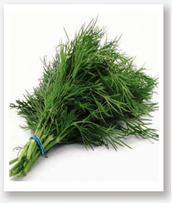 ATA TOHUMU YERLİ DEREOTU FERAH 1000 ADET TOHUM