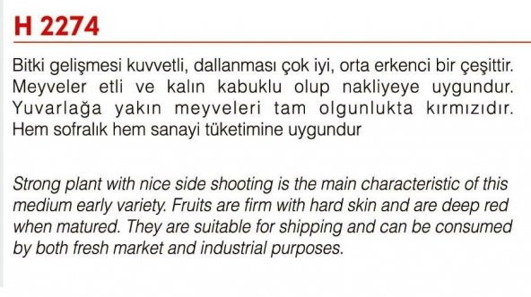 ATA TOHUMU YERLİ İRİ DOMATES 1000 ADET TOHUM - 2