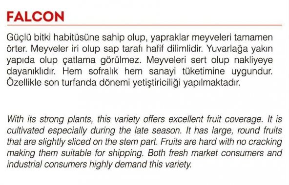 ATA TOHUMU YERLİ SOFRALIK DOMATES 1000 ADET TOHUM - 2