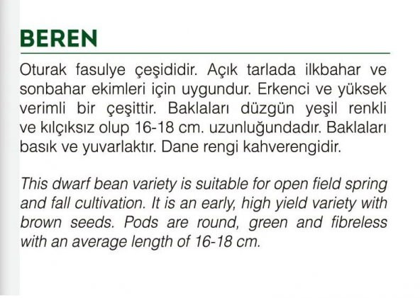 ATA TOHUMU YERLİ OTURAK YEŞİL FASULYE 50 TOHUM - Resim 2