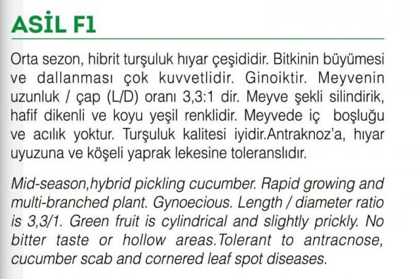 MİTOFARM ASİL F1 HYBRİT KORNİŞON HIYAR TOHUMU 100 ADET - 2