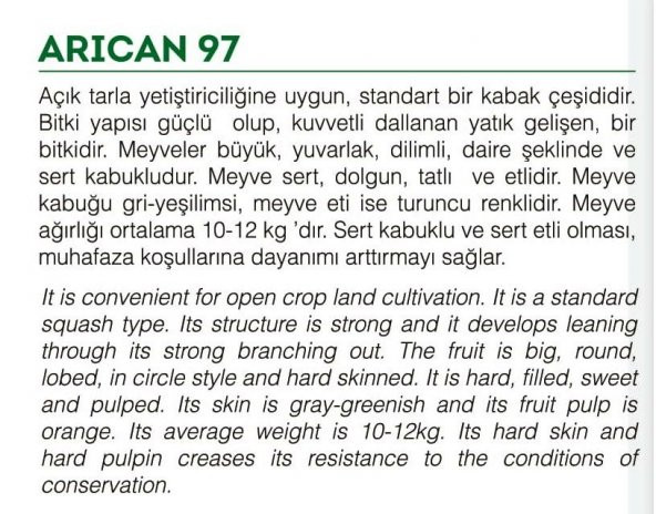 ATA TOHUMU YERLİ BALKABAĞI 10 ADET TOHUM - 2