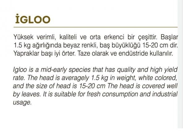 DOĞAL YERLİ KARNABAHAR 100 ADET TOHUM - Resim 2