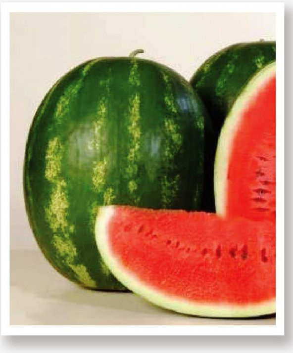 ATA TOHUMU DOĞAL DİYARBAKIR KAPRUZU 100 ADET TOHUM