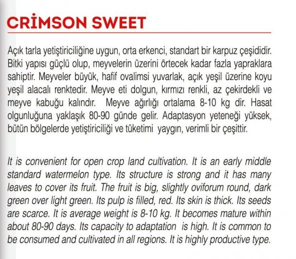 ATA TOHUMU DOĞAL DİYARBAKIR KAPRUZU 100 ADET TOHUM - 2