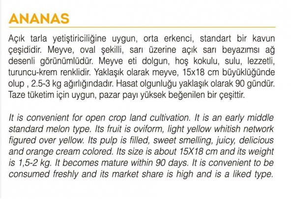 ATA TOHUMU YERLİ KAVUN TOHUMU ANANAS 100 ADET TOHUM - 2