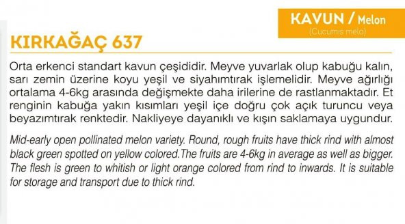 ATA TOHUMU YERLİ KAVUN KIRKAĞAÇ 100 ADET TOHUM - 2