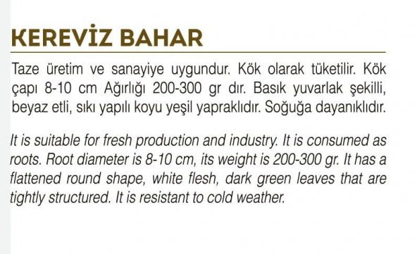 ATA TOHUMU YERLİ KEREVİZ TOHUMU 2000 ADET TOHUM - 2