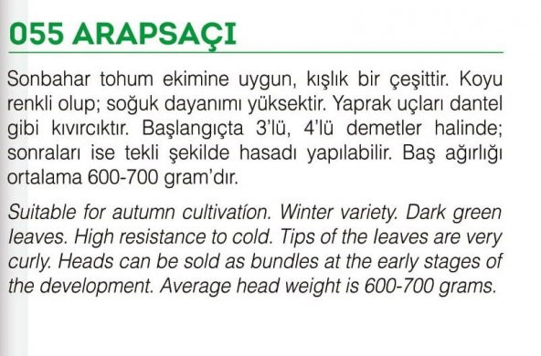 ATA TOHUMU YERLİ MARUL ARAPSAÇI 1000 TOHUM - 2