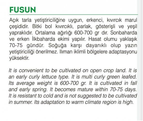 ATA TOHUMU YERLİ MARUL FUSUN 1000 ADET TOHUM - 2