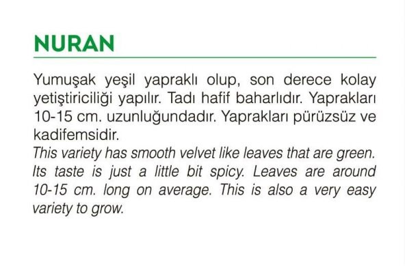 ATA TOHUMU YERLİ ROKA NURAN 2000 ADET TOHUM - 2